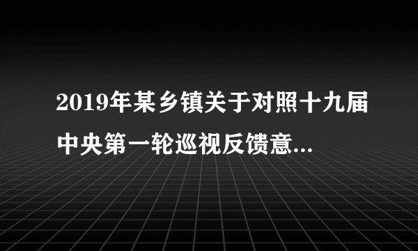 2019年某乡镇关于对照十九届中央第一轮巡视反馈意见自查问题整改报告