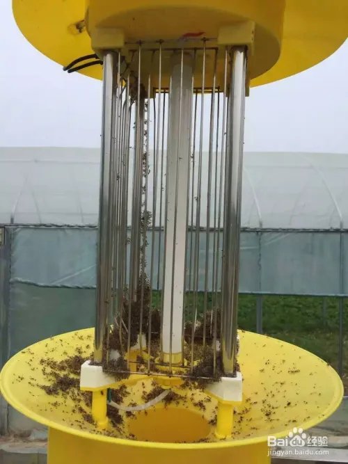 农业杀虫灯有哪些分类？各有什么作用？