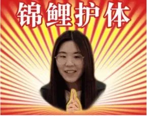 锦鲤已经过时了!猪年祈福认准“三鲤豚”