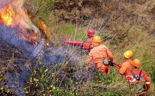 福建漳浦大埔村突发山火，山火发生的原因都有什么？