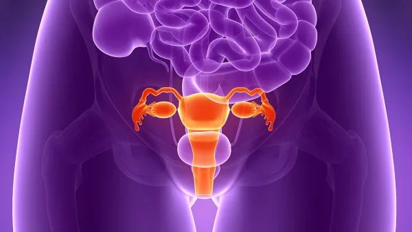 子宫内有回声是什么意思