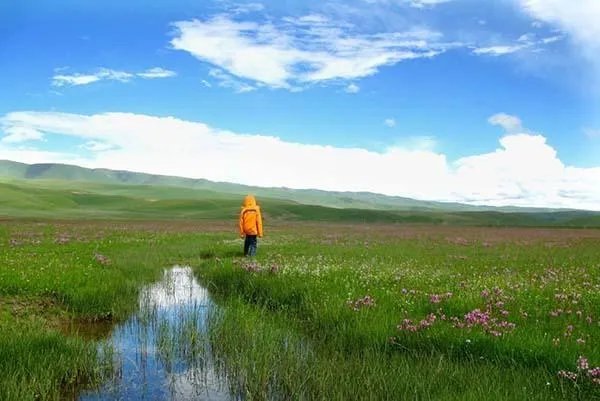 中国哪个草原最漂亮？最值得一去？