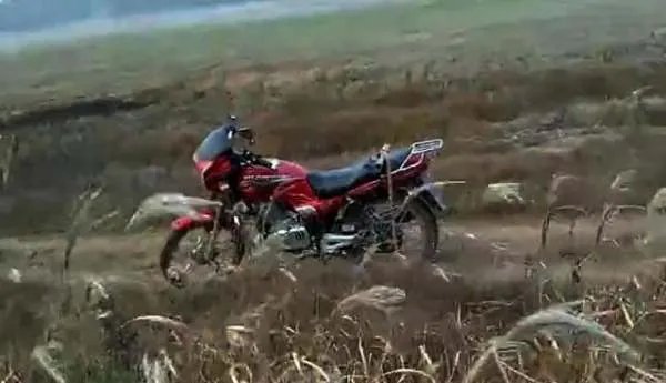 鄱阳湖大雁和天鹅被偷猎了吗?