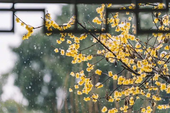 2022年什么时候立春几点几分 2022年立春在哪一天