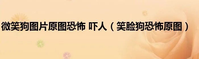 微笑狗图片原图恐怖 吓人（笑脸狗恐怖原图）