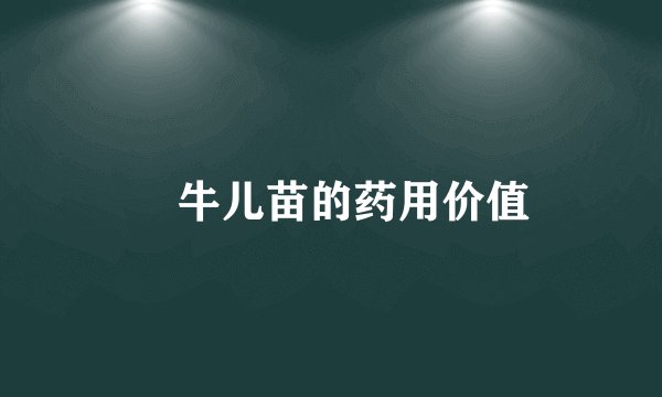 牻牛儿苗的药用价值