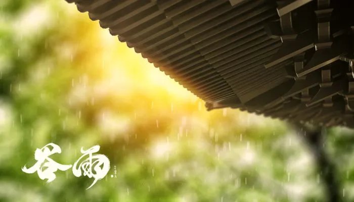 谷雨下雨代表什么 谷雨下雨好还是不下雨好