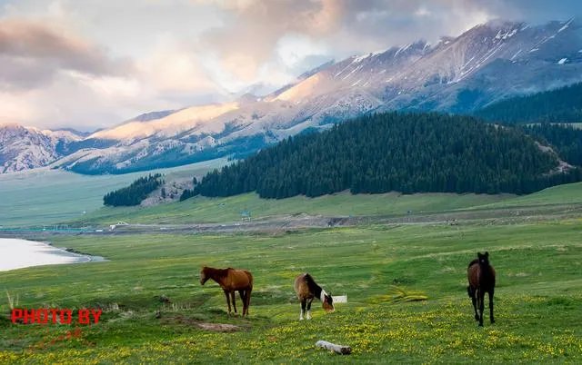 中国哪个草原最漂亮？最值得一去？