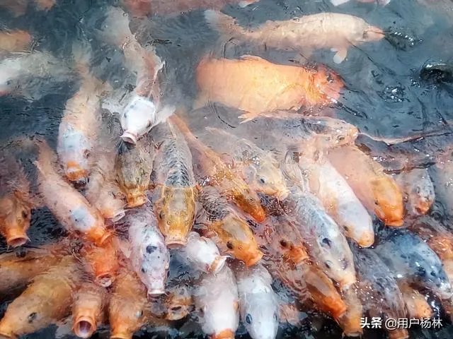 有没有人按照头条上赚钱的方法赚到人生第一桶金？