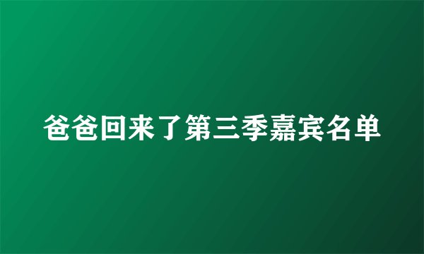 爸爸回来了第三季嘉宾名单