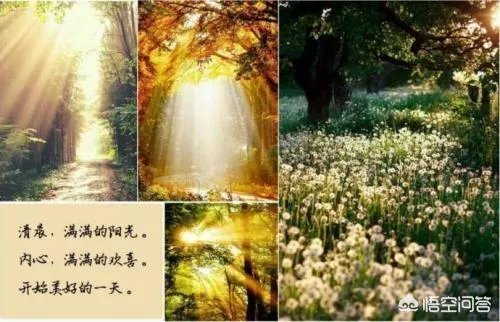 怎样才能不抑郁