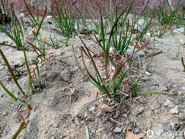 为了电信 — 红米Note3全网通高配版评测