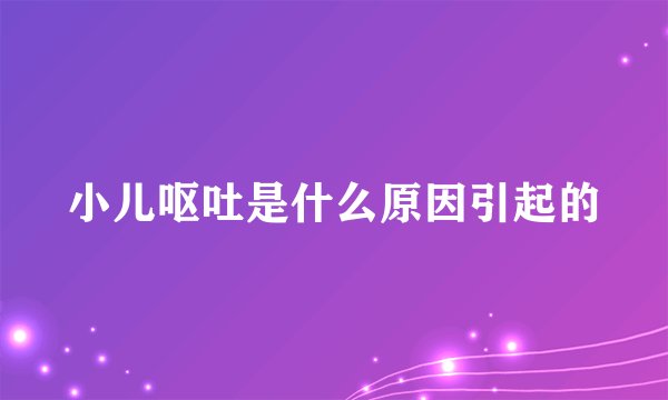 小儿呕吐是什么原因引起的