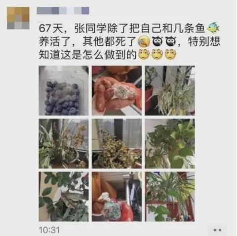 女护士援鄂67天回家后惊呆了 网友：同一个世界同一个老公