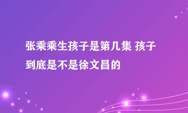 张乘乘生孩子是第几集 孩子到底是不是徐文昌的