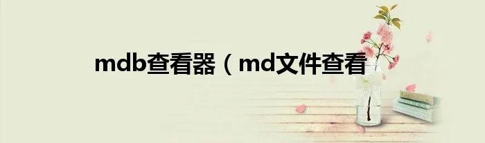 mdb查看器（md文件查看