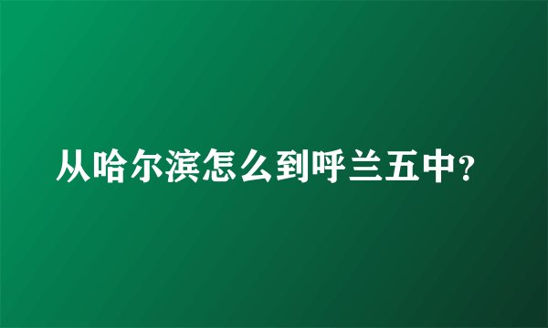 从哈尔滨怎么到呼兰五中？