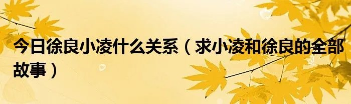 今日徐良小凌什么关系（求小凌和徐良的全部故事）