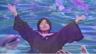 锦鲤已经过时了!猪年祈福认准“三鲤豚”