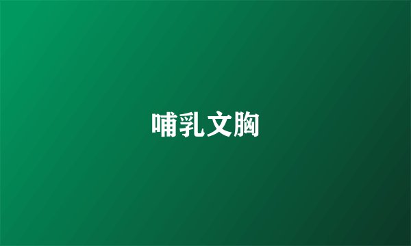 哺乳文胸