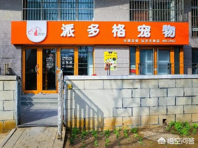 怎么制定宠物店投资创业方案?