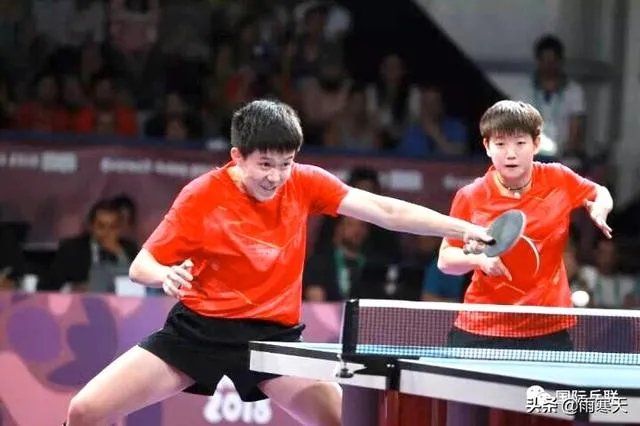 樊振东评价张本智和,称其“非常向上,永远打不服”,是怎么回事?如何评价?