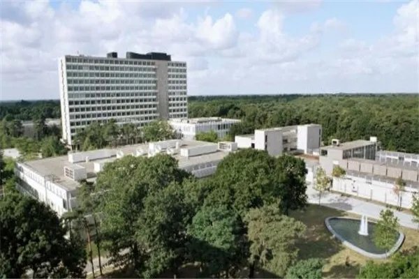 荷兰有哪些比较好的商学院？荷兰商学院排名