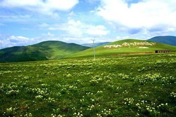 中国哪个草原最漂亮？最值得一去？
