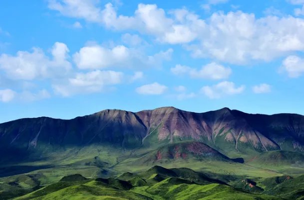 在青海遇难大学生有轻生目的，此次事件学校有没有责任？