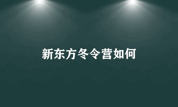 新东方冬令营如何