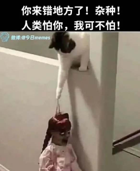 这少妇的身材过于丰满了 囧图尿尿的时候该往哪儿瞄？