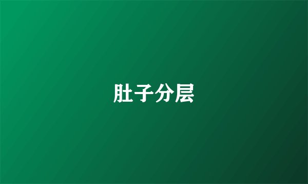 肚子分层