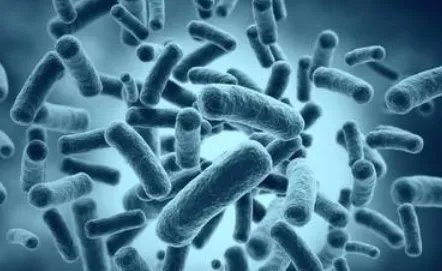 每日优鲜一款产品大肠菌群超标，大肠菌群超标会有何处罚？