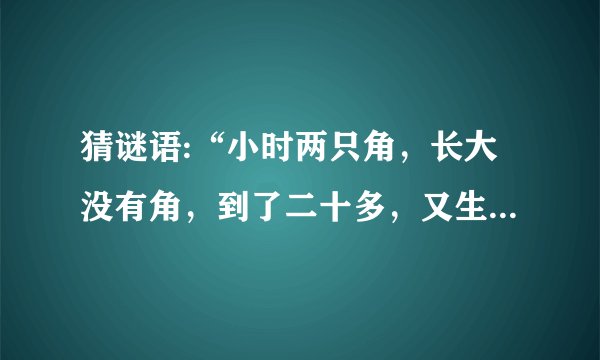 猜谜语:“小时两只角，长大没有角，到了二十多，又生两只角。”