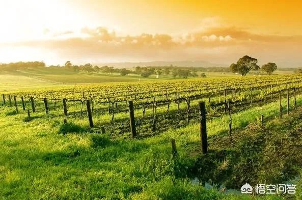 你有哪些去墨尔本的旅游攻略分享？你有哪些自由行攻略？