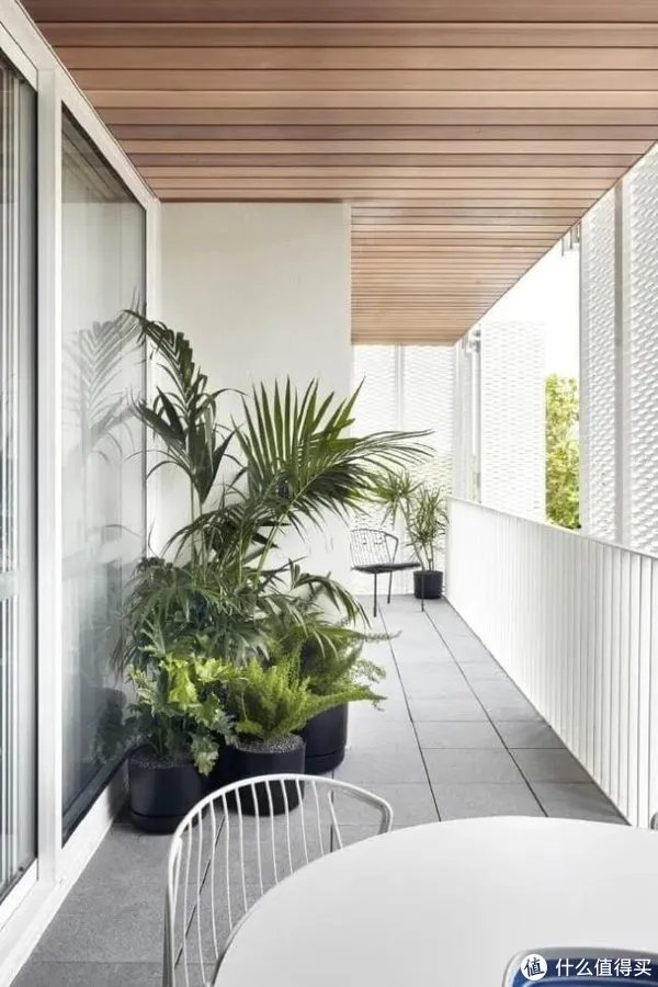 求求你不要再往阳台上挂裤衩了!这样装不香吗?