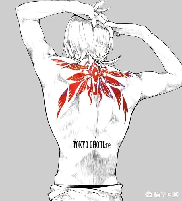 东京食尸鬼哪里可以看