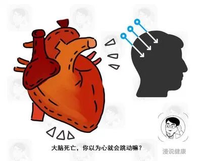 脑死亡3个月后产子：明明被宣布死亡，为何还能分娩？细思甚恐