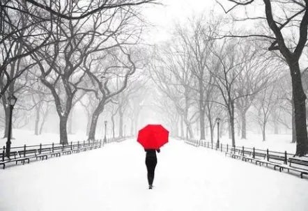 年末中东部大部将出现入冬以来最冷天气，这是什么原因造成的？