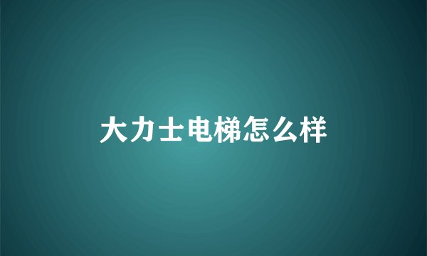 大力士电梯怎么样