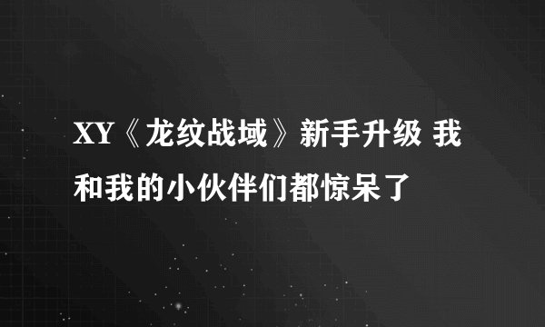 XY《龙纹战域》新手升级 我和我的小伙伴们都惊呆了
