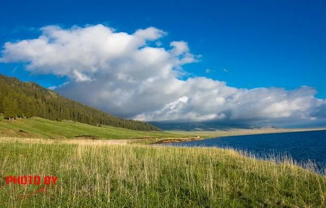 中国哪个草原最漂亮？最值得一去？