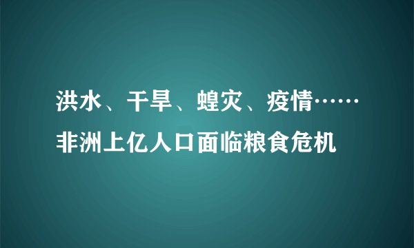 洪水、干旱、蝗灾、疫情……非洲上亿人口面临粮食危机