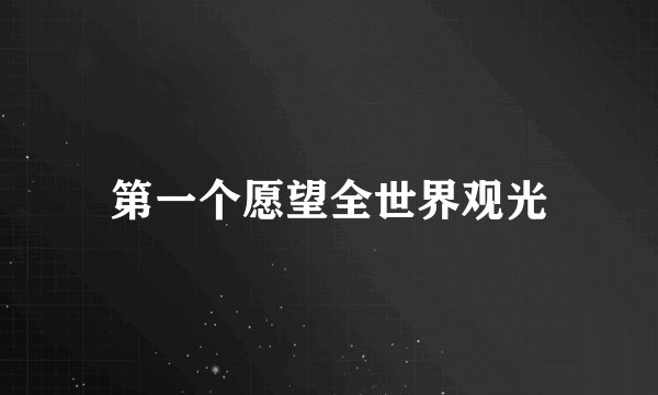 第一个愿望全世界观光