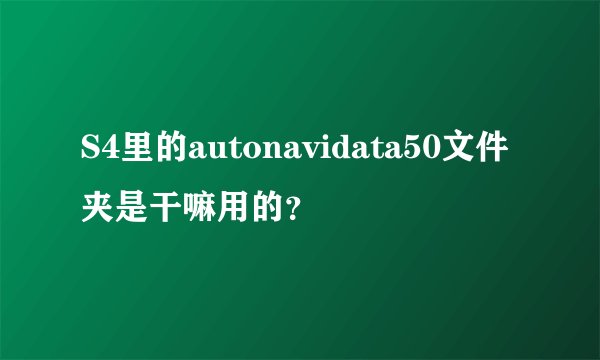 S4里的autonavidata50文件夹是干嘛用的？