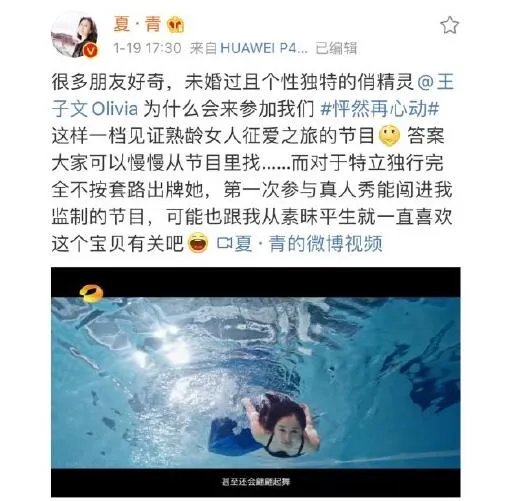 王子文老公刘丰源个人资料 王子文为什么离婚