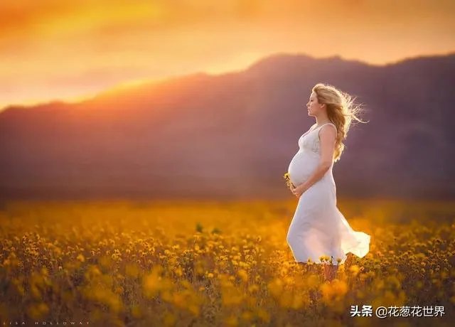 大肚子孕妇电视剧合集