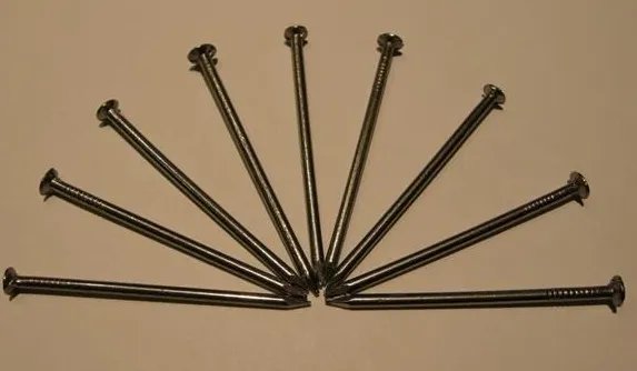 俄罗斯一老太为何会吞下1公斤铁钉？