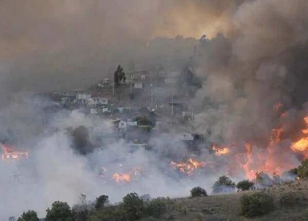 福建漳浦大埔村突发山火，山火发生的原因都有什么？