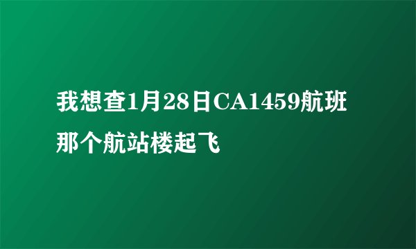 我想查1月28日CA1459航班那个航站楼起飞